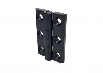 Петля листовая RZP 900-1 с отверстиями (60х90мм, черная)